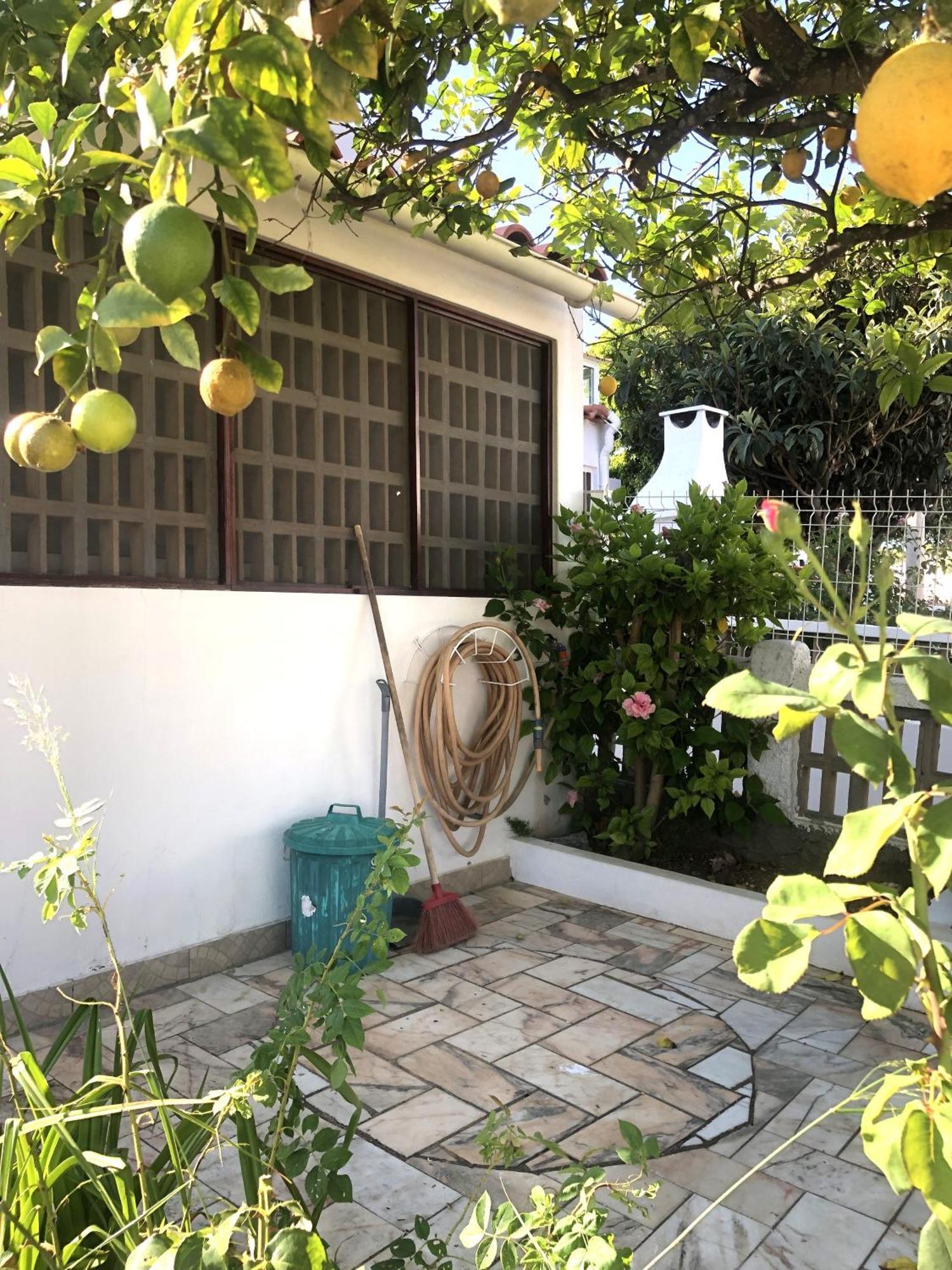 Casa Do Limoeiro Βίλα Αλμπουφέιρα Εξωτερικό φωτογραφία